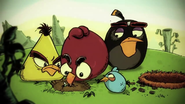 Trailer cinematográfico do Angry Birds