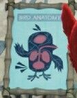 Anatomía de las aves (La película de Angry Birds)
