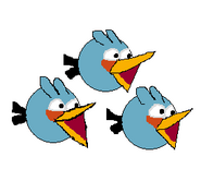 Pacbirds enojados