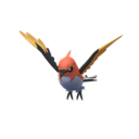 Talonflame