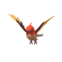 Talonflame