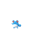 Azumarill