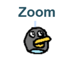 Pájaro zoomer