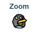 Oiseau Zoomer