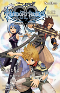 Kingdom Hearts Birth by Sleep (romans)