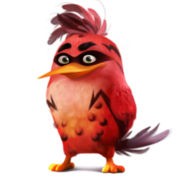 Evolução do Angry Birds / Pássaros