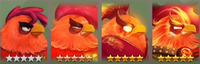 Evolução do Angry Birds / Pássaros