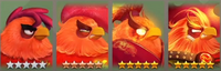 Angry Birds Évolution/Birds