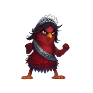 Evolução do Angry Birds / Pássaros