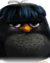 Evolução do Angry Birds / Pássaros