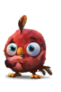 Evolução do Angry Birds / Pássaros