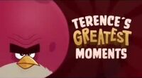 Liste des épisodes / Best Of Angry Birds Toons