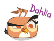 Dália/