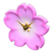 Serie de flores de cerezo (New Horizons)