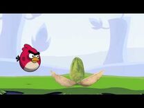 Angry Birds dans la chasse à la pistache dorée