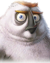 Kowalski l'elfe