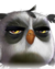 Kowalski l'elfe