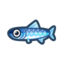 Guia: lista de peixes de fevereiro (Novos Horizontes)