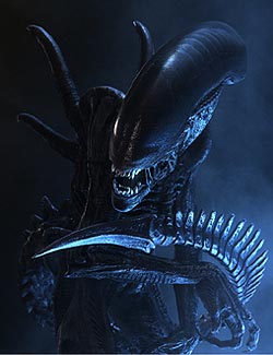 Xenomorfo