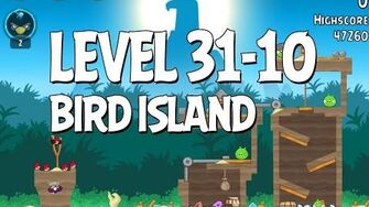 Bird Island 31-10