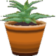 Conjunto de plantas de la casa