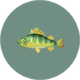 Poisson (City Folk)