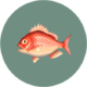 Poisson (City Folk)