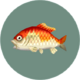 Poisson (City Folk)