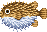 Hedgehog fish