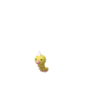 Weedle