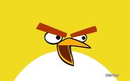 Tema de Angry Birds para Windows 7/8 / 8.1 / 10