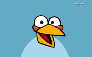 Tema Angry Birds do Windows 7/8/8.1 10/XNUMX