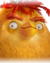 Coq de feu