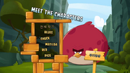 Angry Birds Toons Saison 1 Volume 1