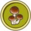 Champignon