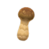 Champignon