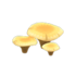 Champignon