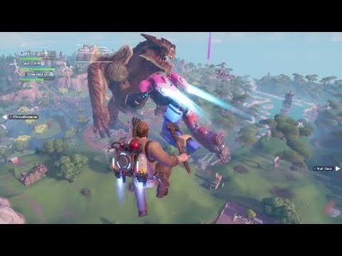 This has been Cattus vs Doggus, the Fortnite event (with video in case you missed it)