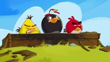 Tráiler de Angry Birds Friends