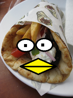 Gyro Bird