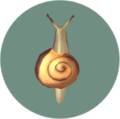 Escargot