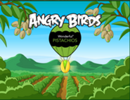 Angry Birds in The Hunt For The Golden Pistachio