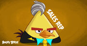 Teste de carreira do Angry Birds