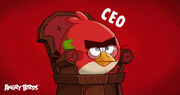 Teste de carreira do Angry Birds