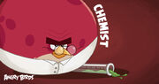 Teste de carreira do Angry Birds