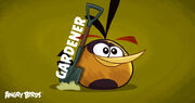 Teste de carreira do Angry Birds