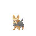 Lillipup