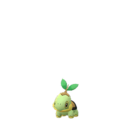 Turtwig