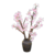 Pétale de fleur de cerisier