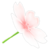 Pétalo de flor de cerezo